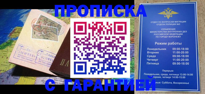 прописка для школы в Петропавловске-Камчатском